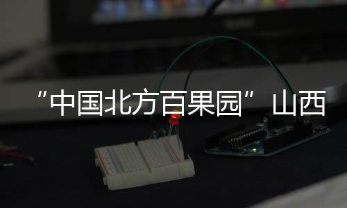 “中国北方百果园”山西运城:人勤春来早 果树管护忙