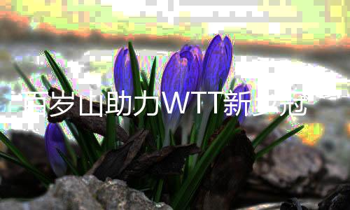百岁山助力WTT新乡冠军赛:常青树马龙从不惧失利