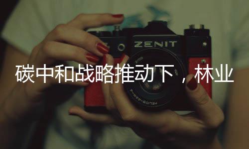 碳中和战略推动下,林业碳汇交易市场发展前景看好!