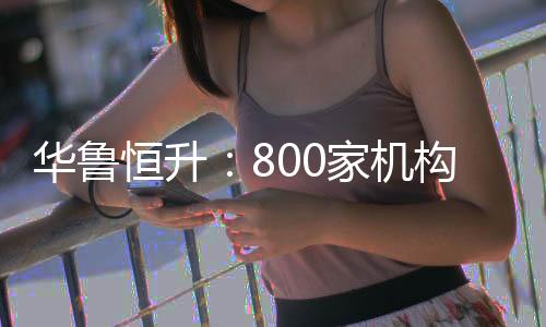 华鲁恒升:800家机构“闭眼”投票,10倍化肥股的新征程