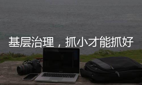 基层治理,抓小才能抓好
