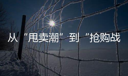 从“甩卖潮”到“抢购战”,绿证价格28倍震荡
